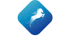PKE Performance Solutions